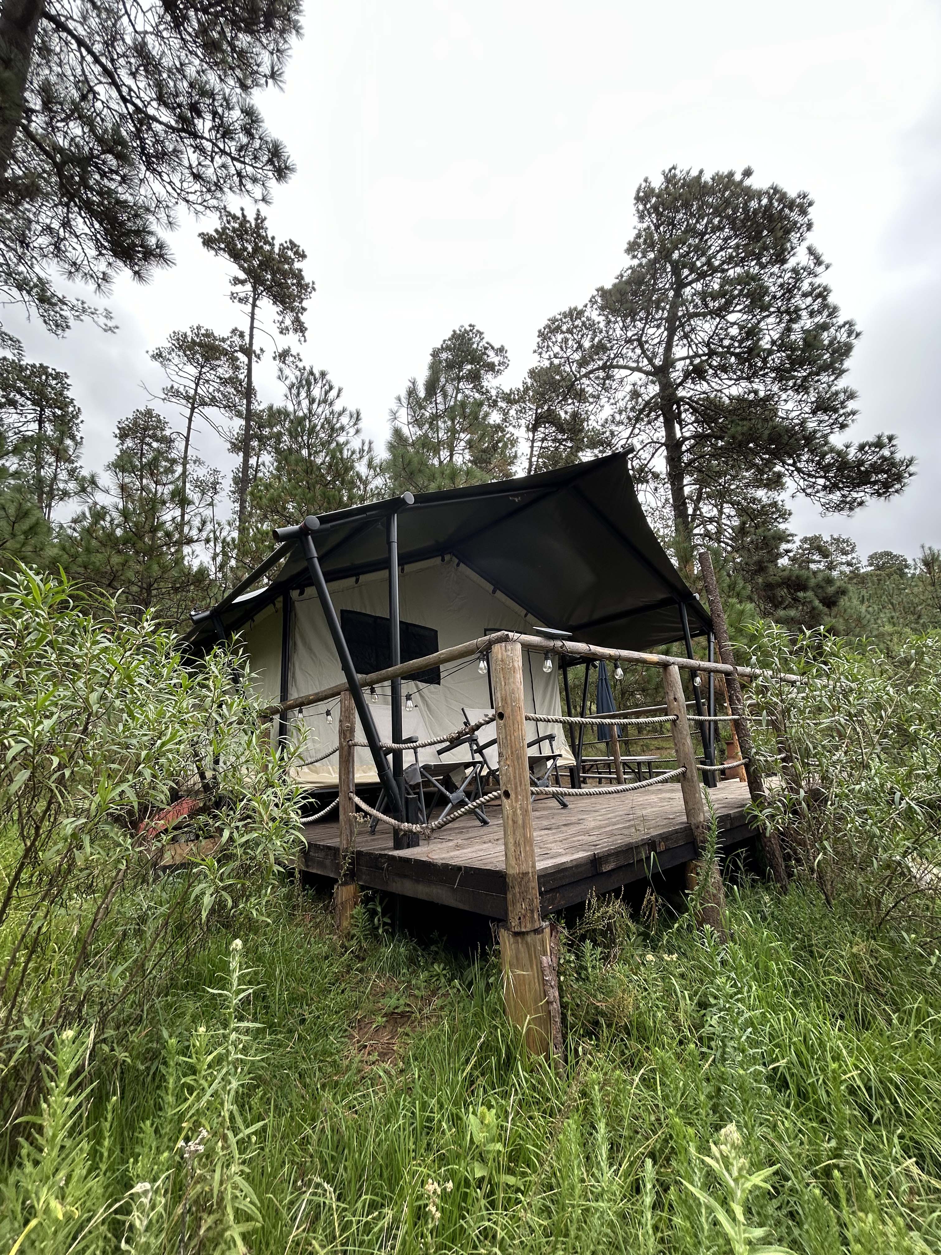 Forest Tent
