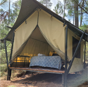Safari Tents