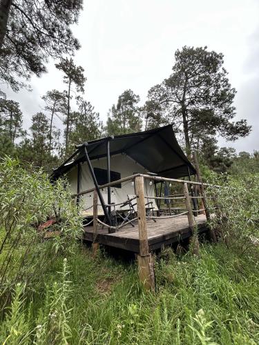Forest Tent