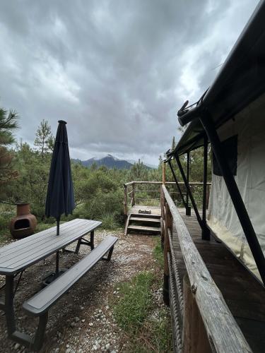 Vistas Forest Tent