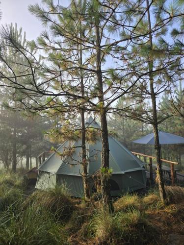 whatsapp_image_2025-10-24_at_9