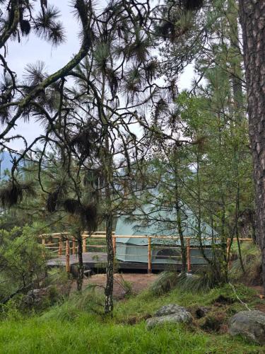 whatsapp_image_2025-10-24_at_9