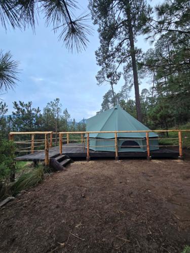 whatsapp_image_2025-10-24_at_9