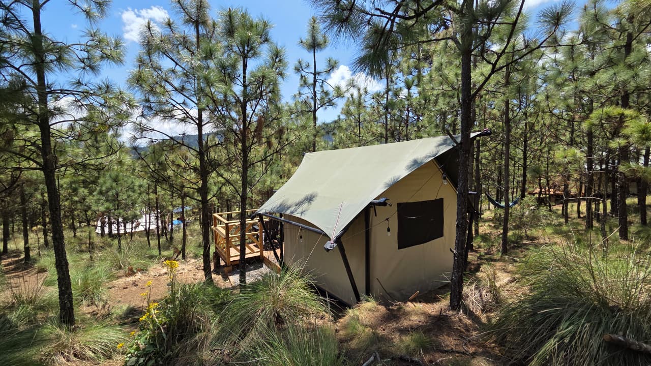 Safari Tents