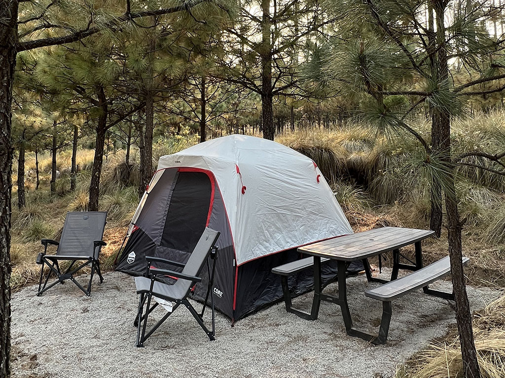Camping spot y mesa de picnic en el bosque,lobo glamp