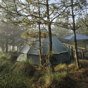 Forest Tent Lobo Glamp