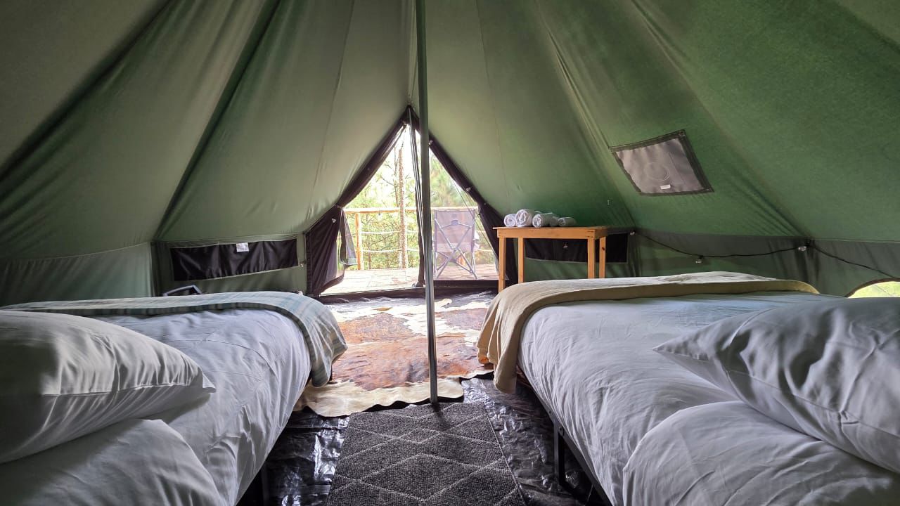 Forest tent, glamping en mexico.