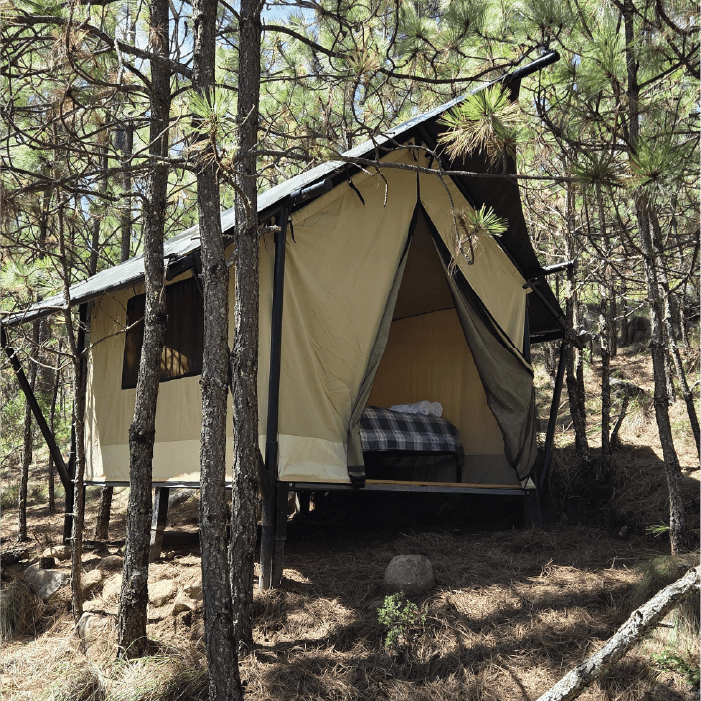 Safari Tent lobo glamp Safari Tent lobo glamp